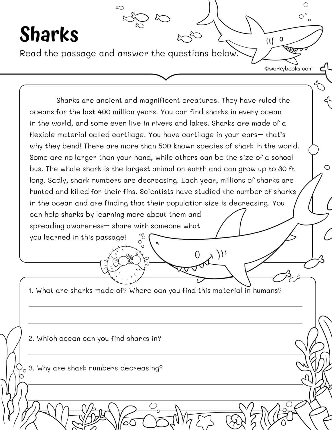 10 Free 3rd Grade Reading Fluency Passages Workybooks Page 4 Free Printable 3rd Grade Reading Worksheet Templates Canva