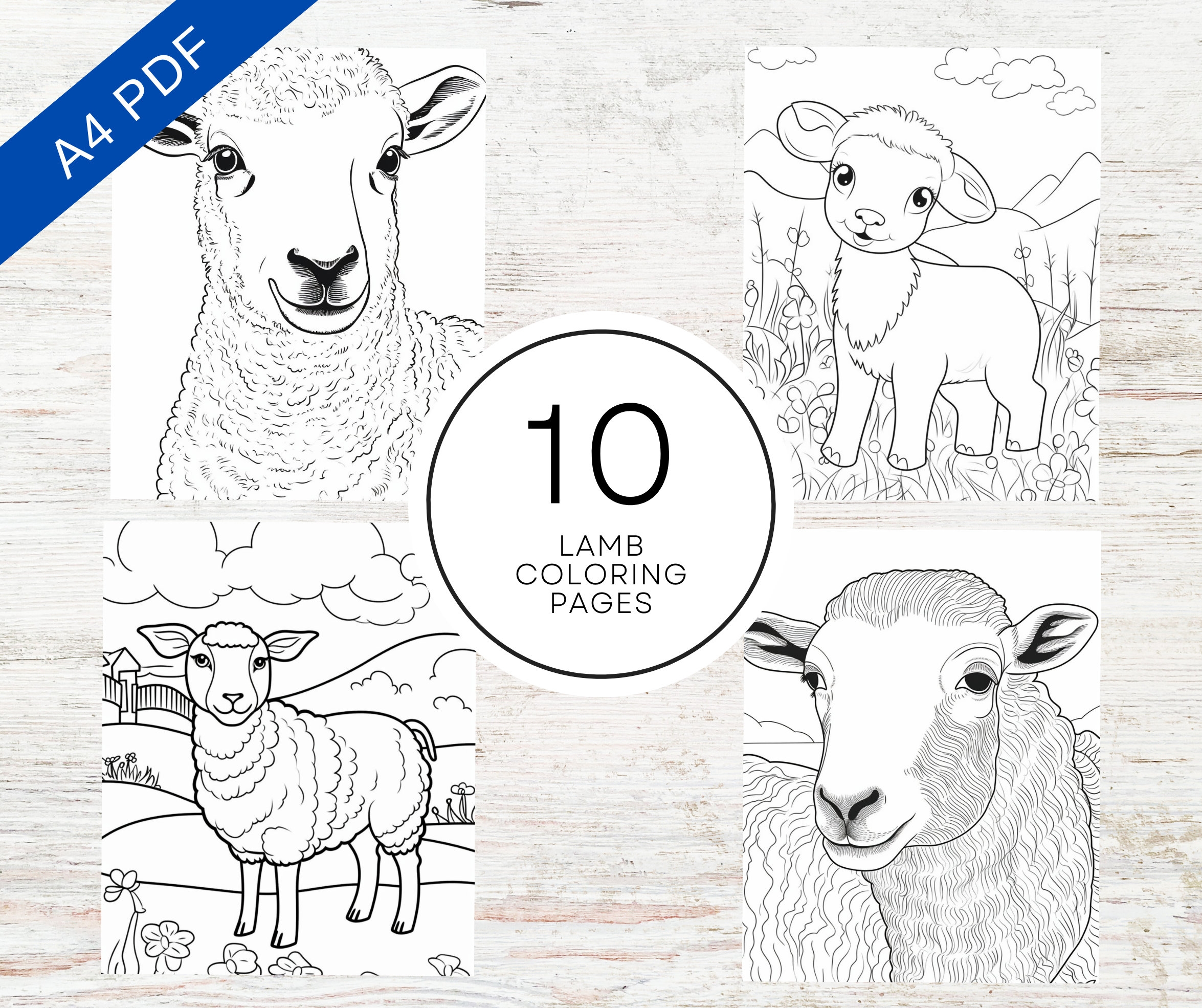 10 Lamb Coloring Pages Printable PDF A4 Farm Animal Coloring Sheets For Kids Adults Stress Relief And Relaxation Etsy
