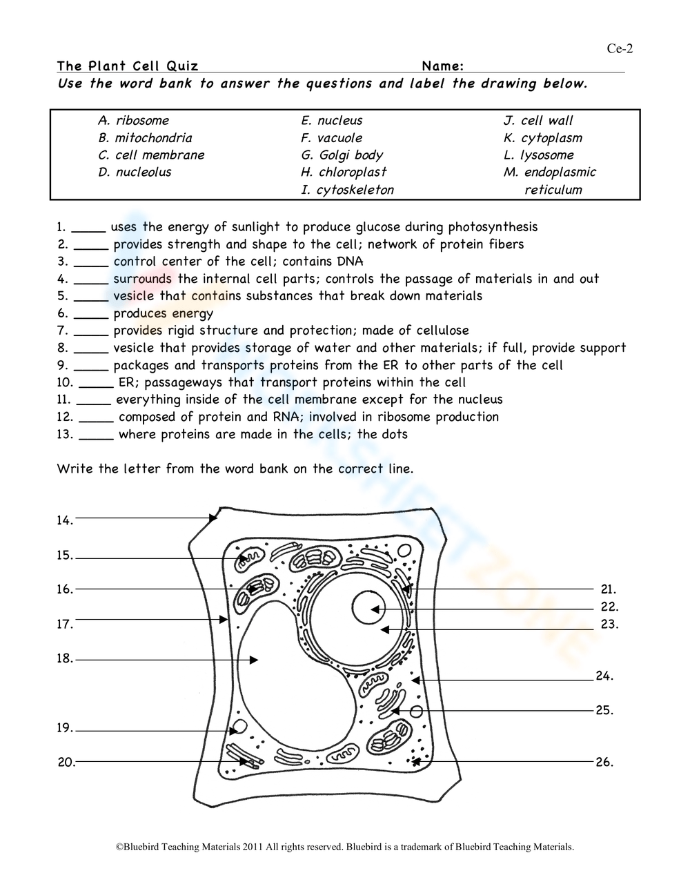 10th Grade Biology Worksheets
