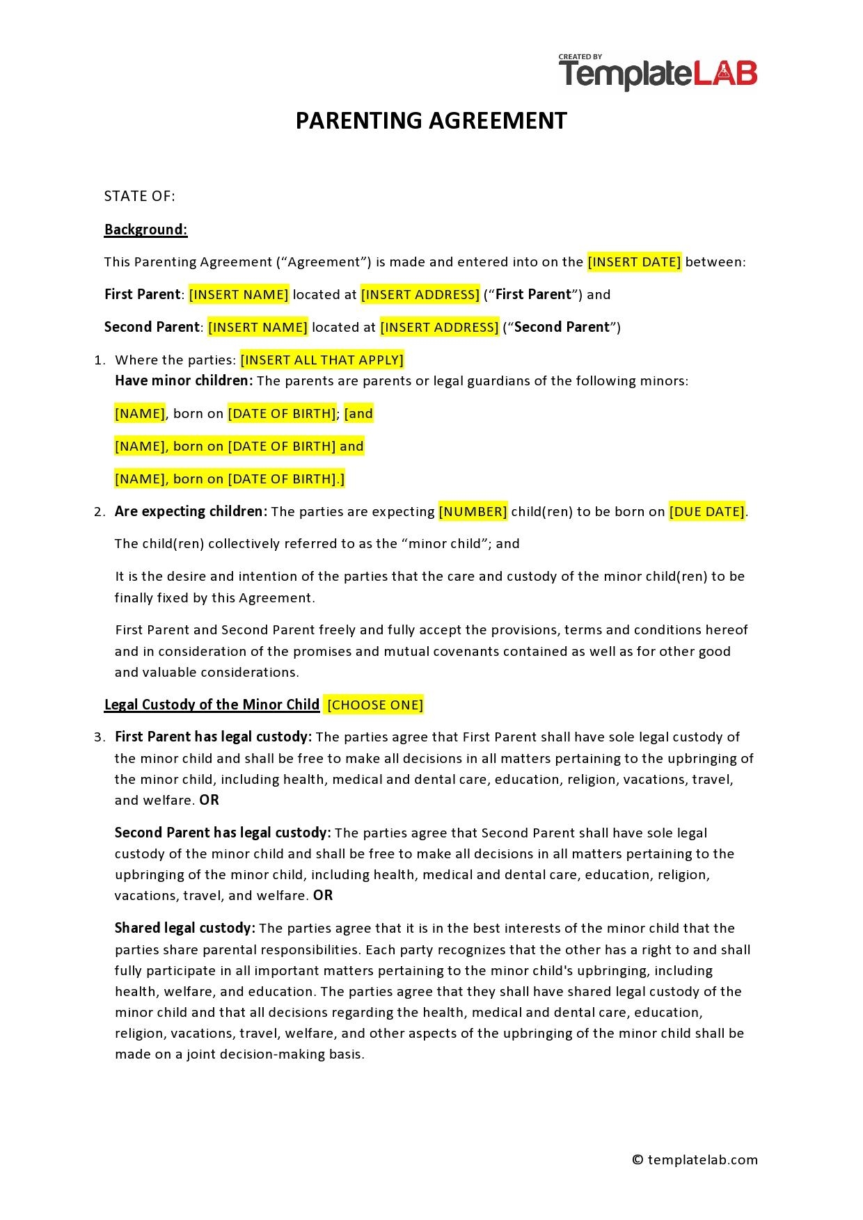 49 FREE Parenting Plan Custody Agreement Templates