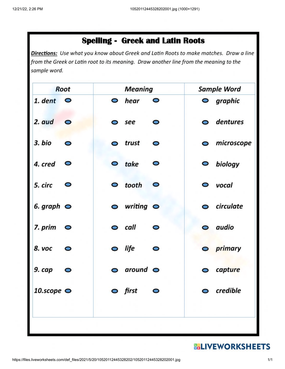 7th Grade Greek And Latin Roots Worksheets Printable