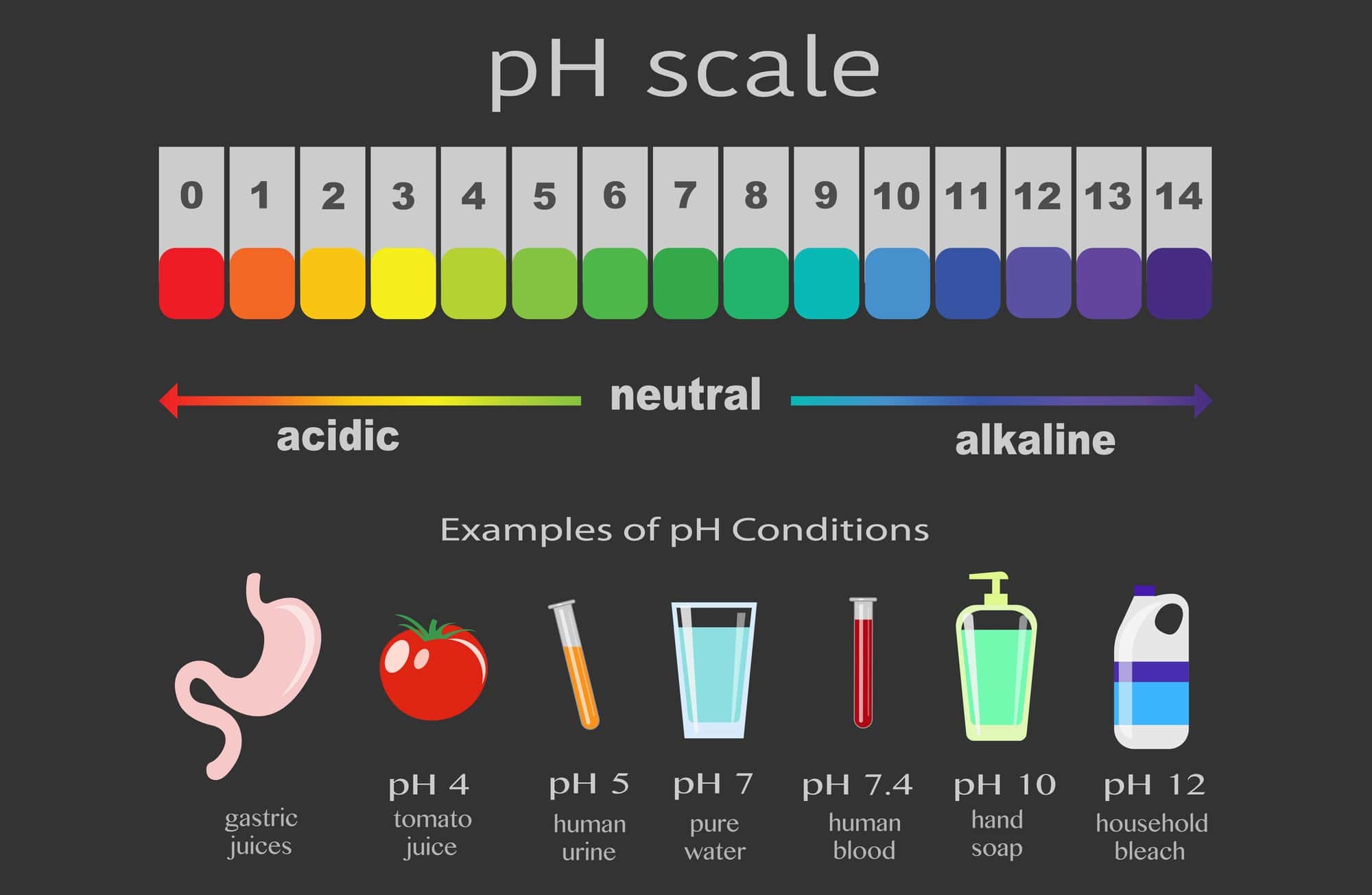 Acid And Base Experiment The Homeschool Scientist