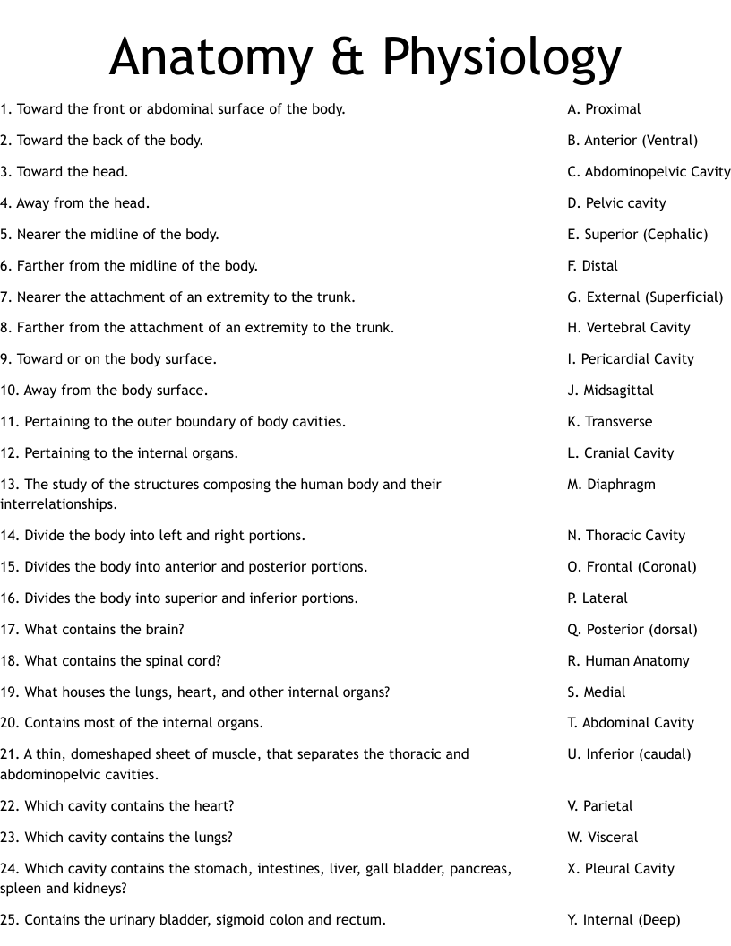 Human Anatomy Worksheets And Study Guides Worksheets Library