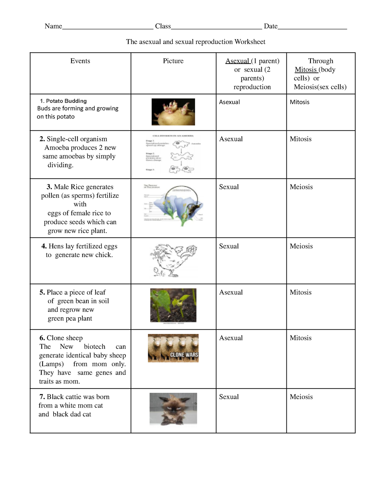 Asexual And Sexual Reproduction Worksheet Worksheets Library