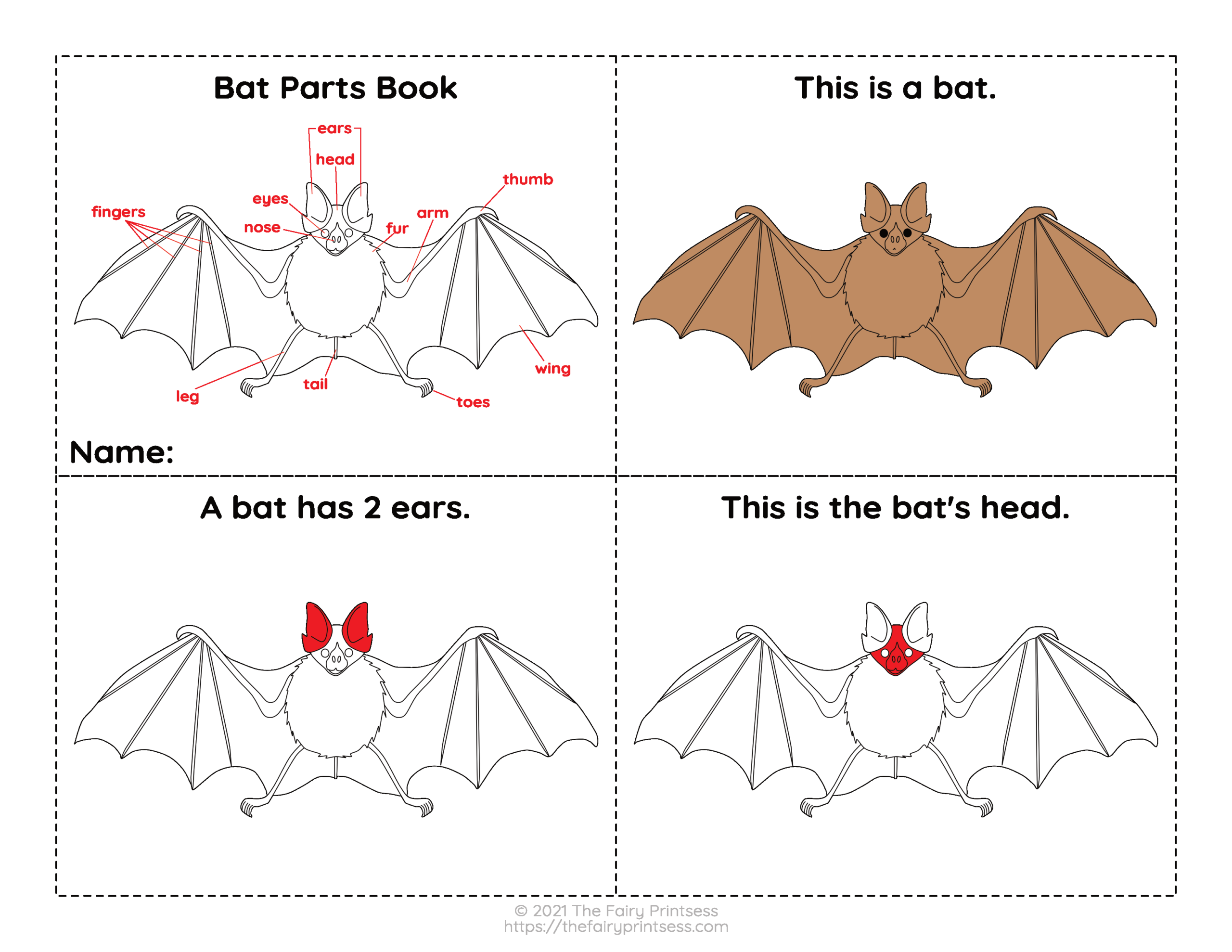 Bat Parts Free Printable Activities Perfect For Learning Animal Science