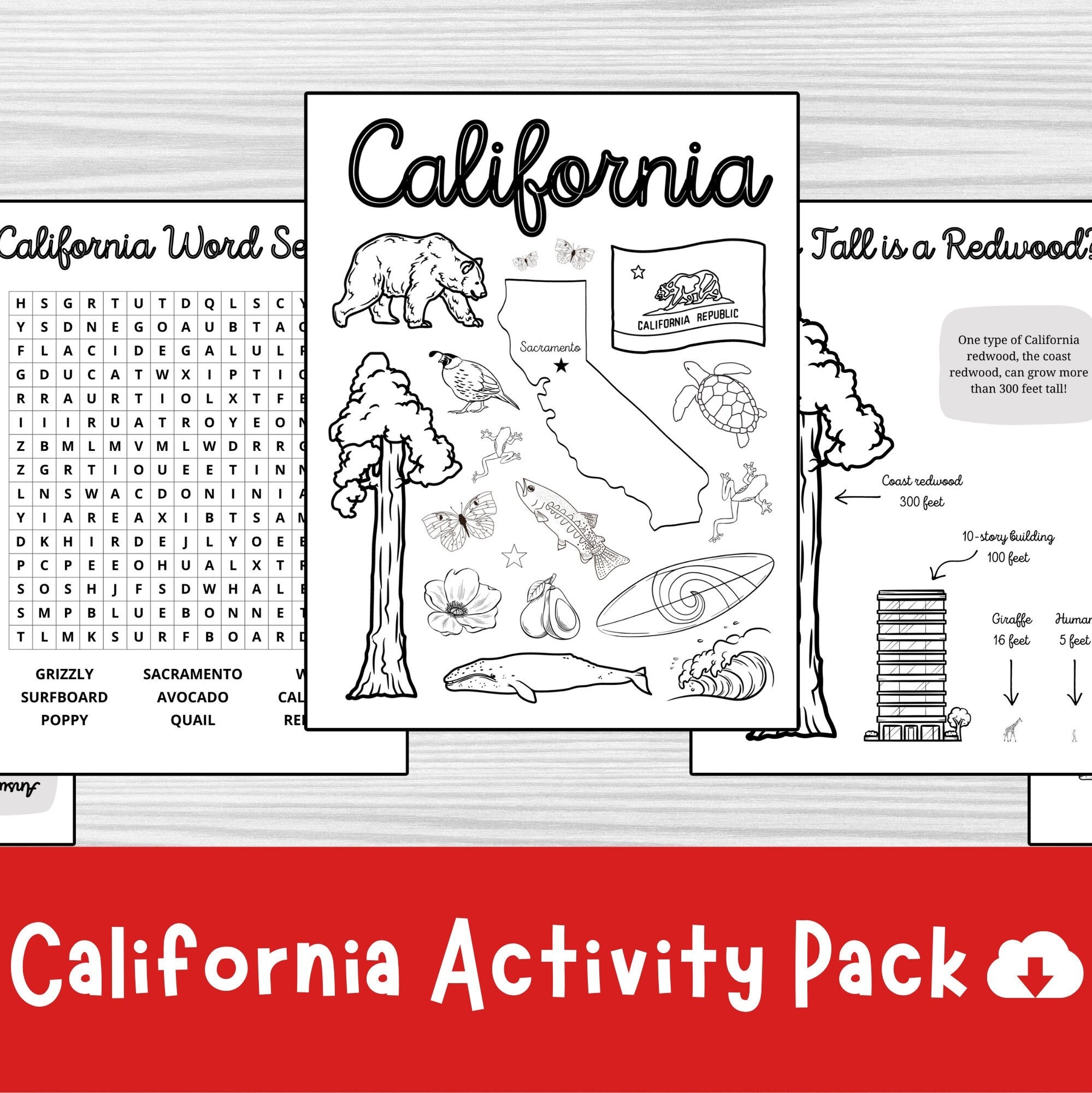 California Activity Pack State Symbols Trivia And Word Search Printable PDF Etsy