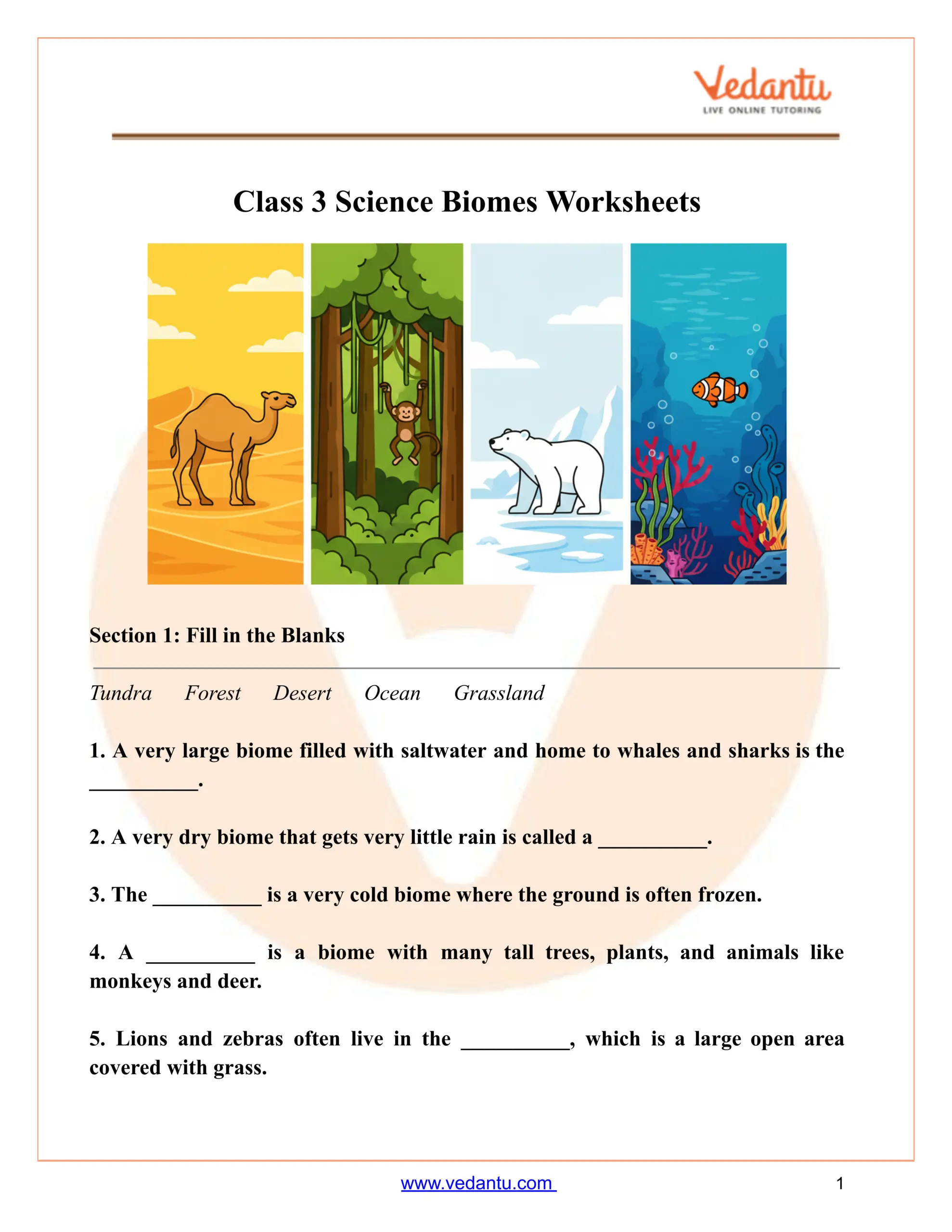 Space Science Worksheets For Kids 3rd 4th Grade With Answer Key Made By Teachers
