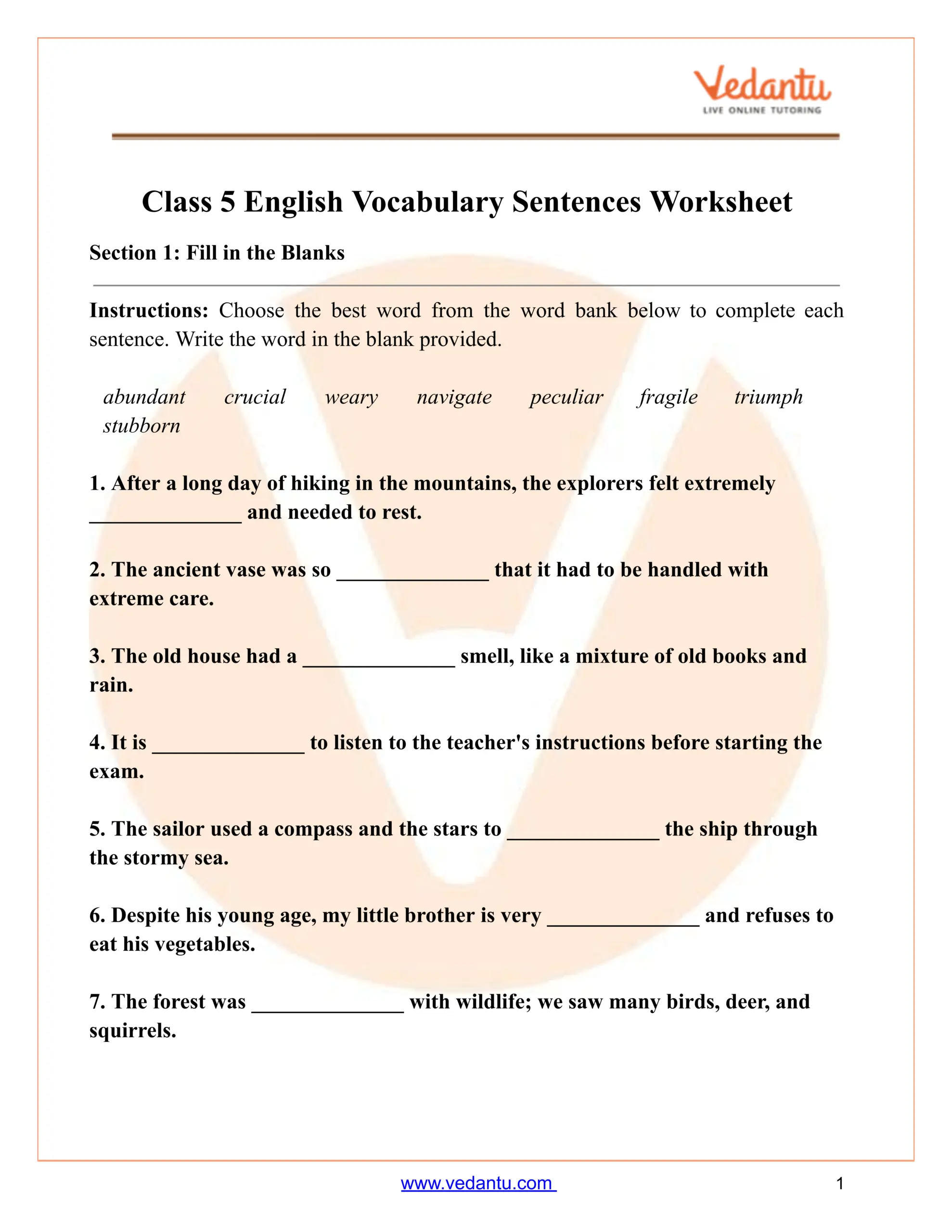 Class 5 Vocabulary Sentences Worksheet PDF Free Printable Practice