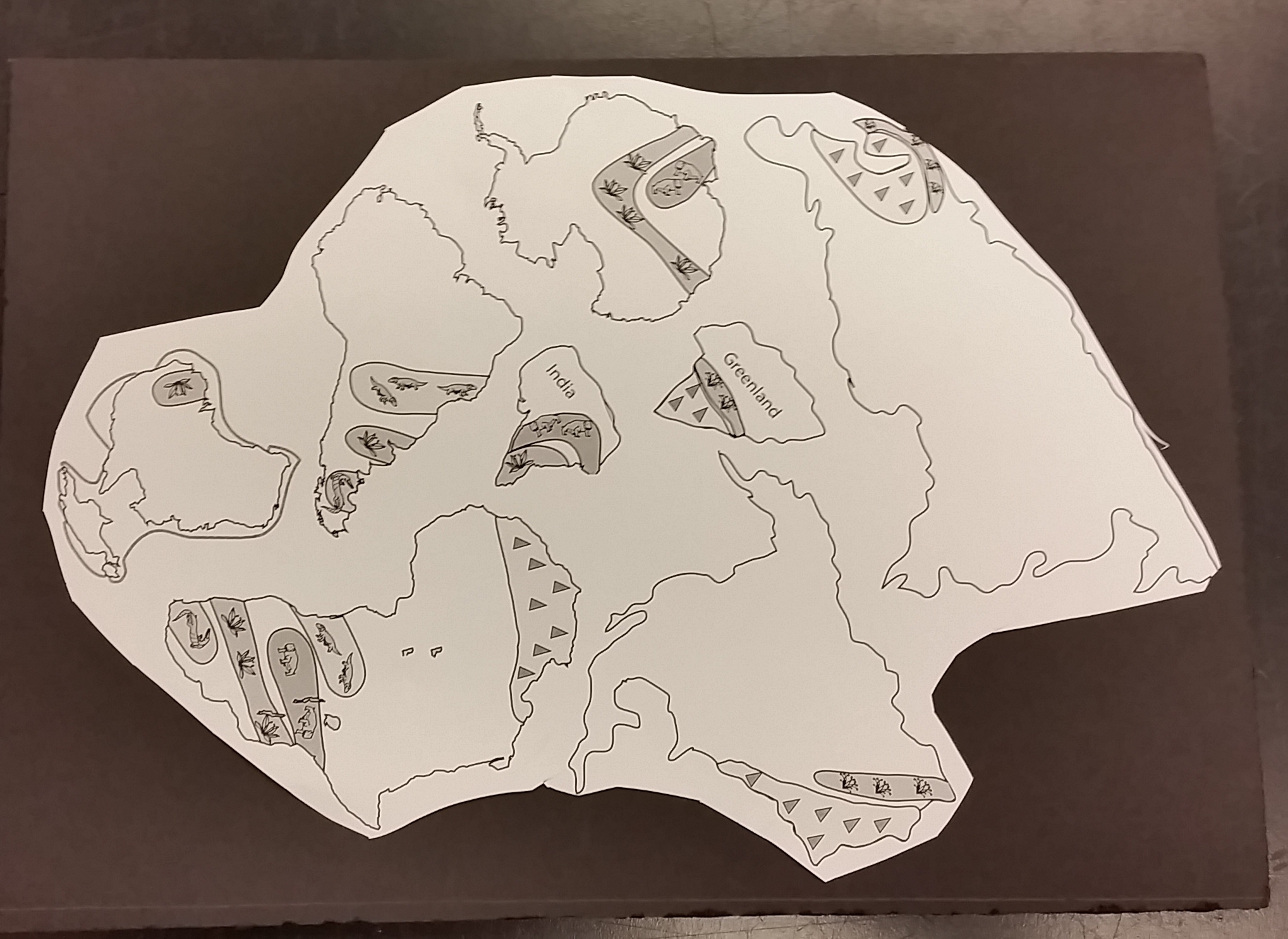 Continental Drift Pangea Puzzle Activity Middle School Science Lessons