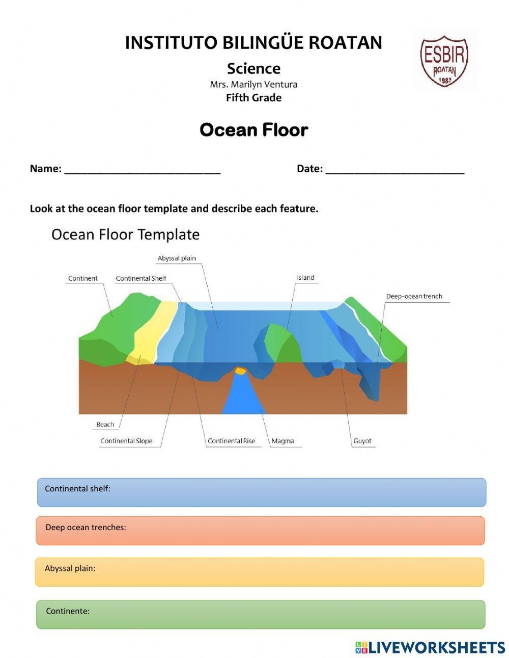 Explore Ocean Floor Features Worksheet Engaging Activities For Learning