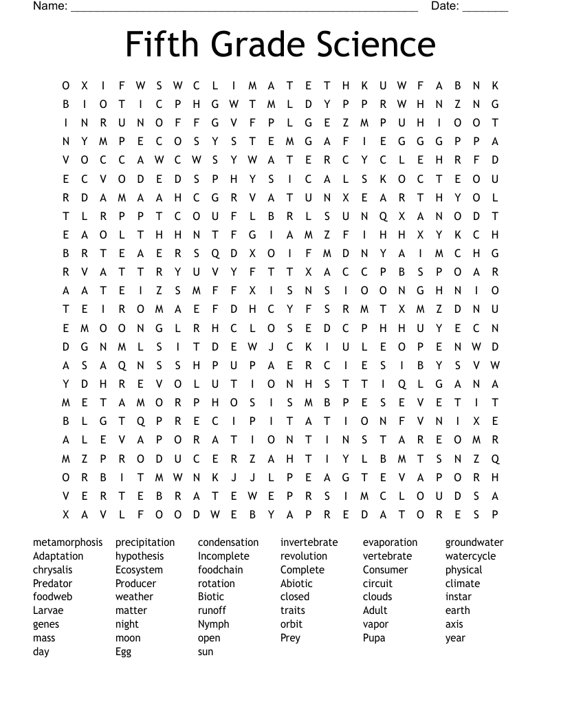 5th Grade Math Vocabulary Word Search WordMint