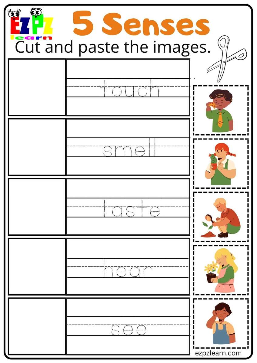 Five Senses Cut And Paste Worksheet For Kindergarten And ESL Students Free Download Ezpzlearn Five Senses Cut And Paste Worksheet For Kindergarten And ESL Students Free Download Ezpzlearn