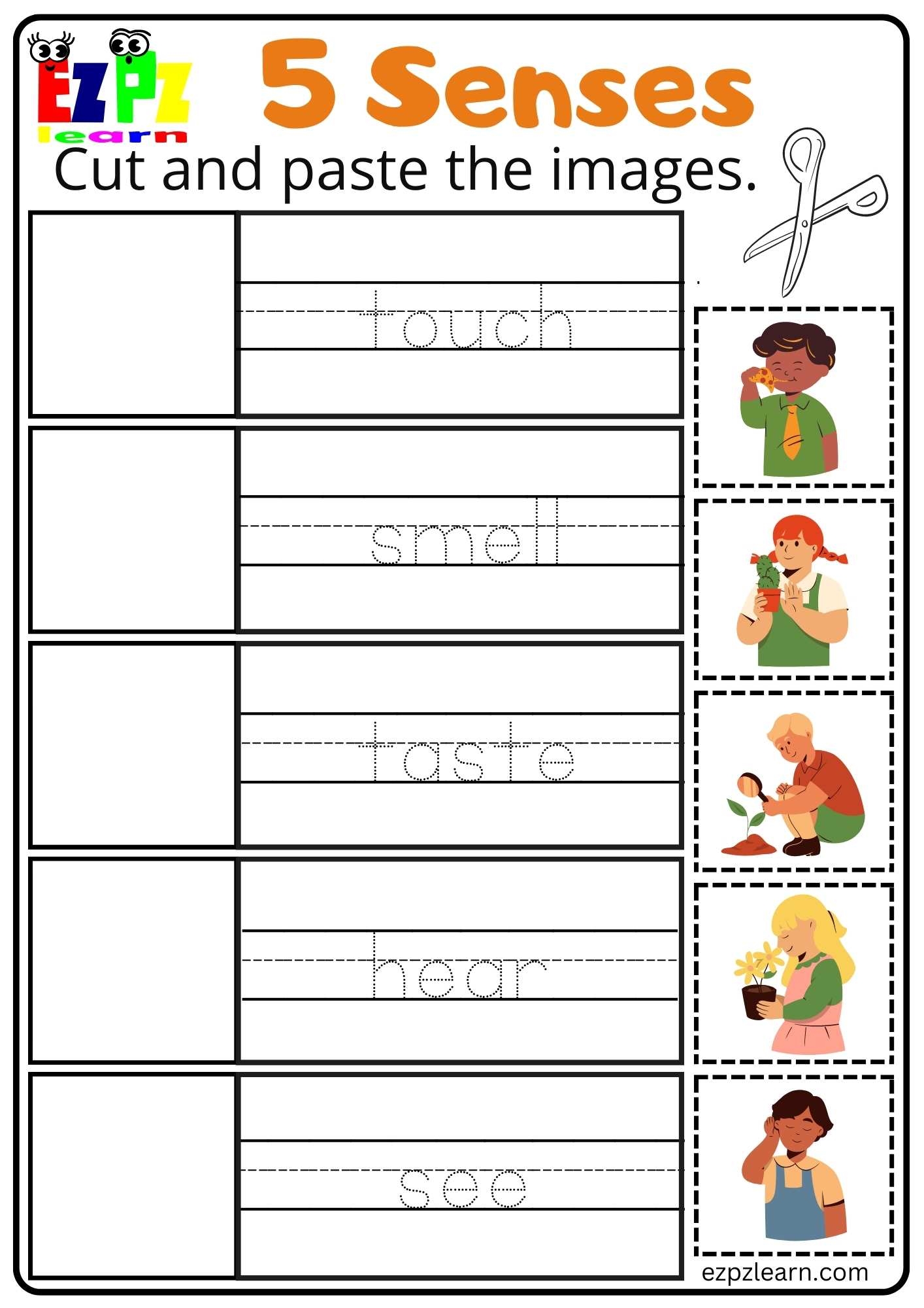 Five Senses Worksheet Free For Kindergarten And Grade 1