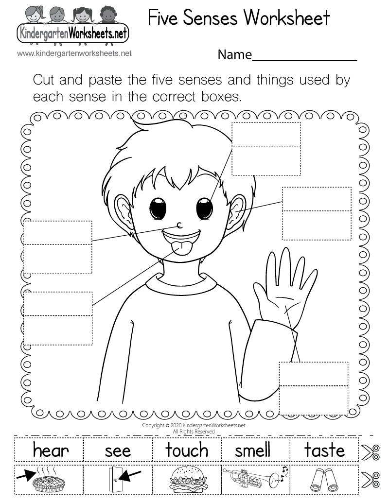 Five Senses Worksheet Free Printable Digital PDF Printable Five Senses Matching Worksheet For Kindergarten