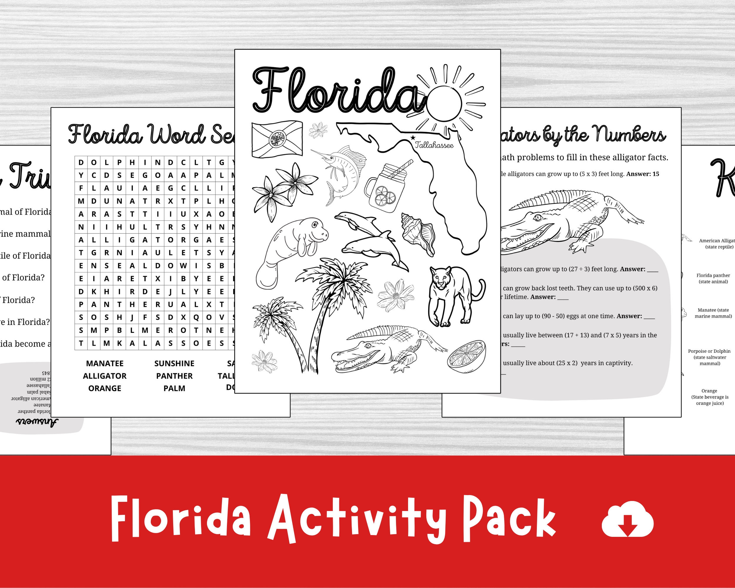 Florida Fast Practice Test Second Grade