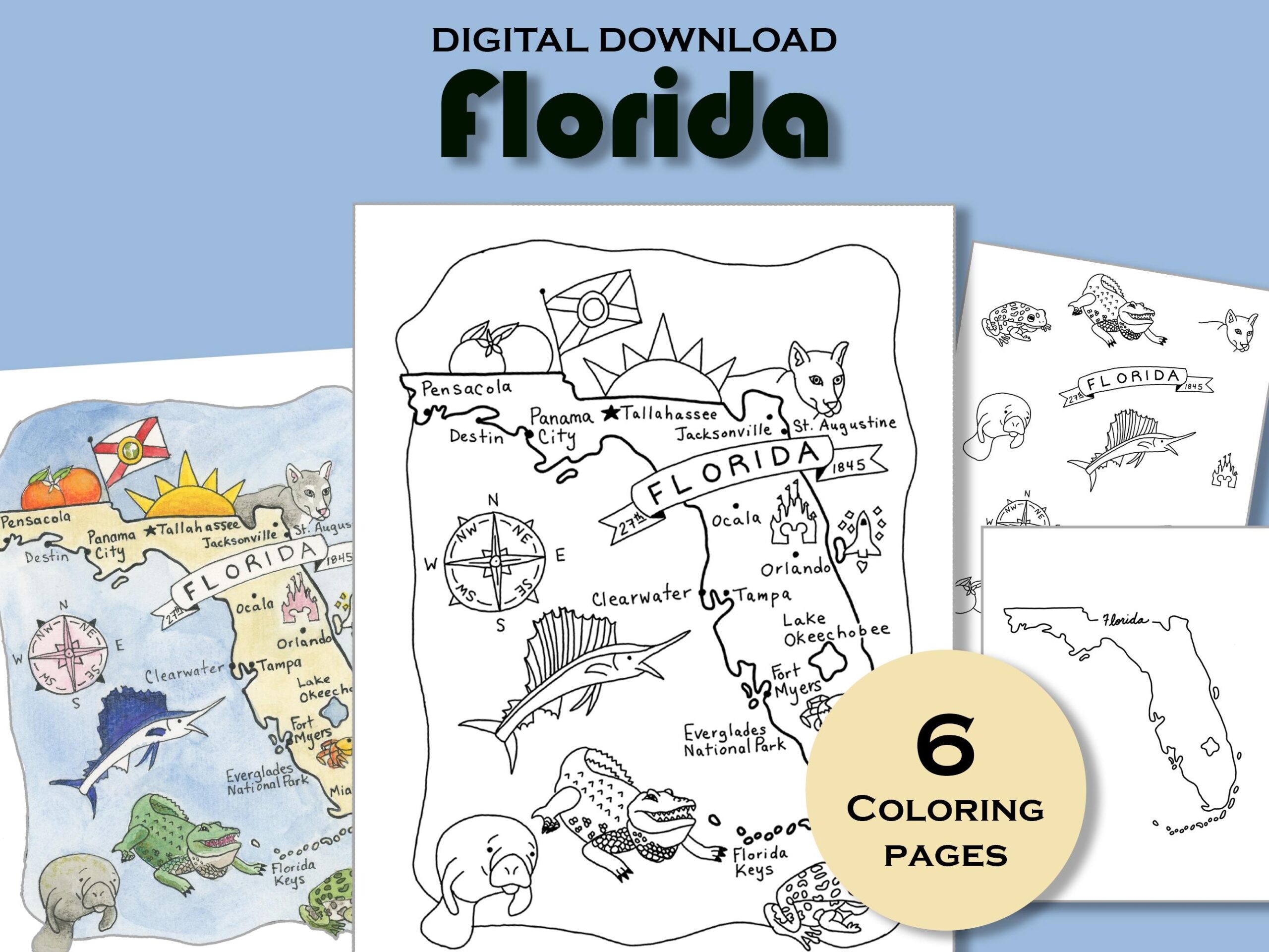 Florida Worksheet Etsy