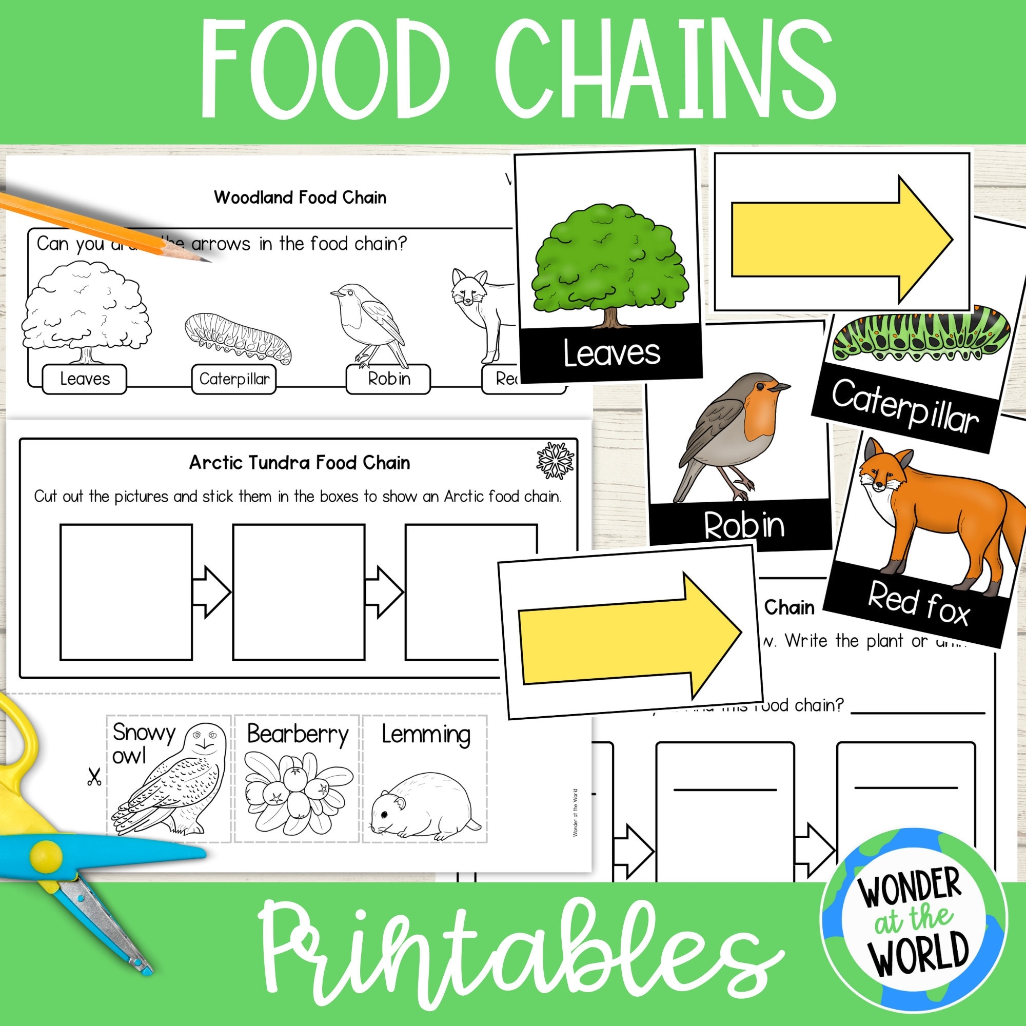 Food Chains Printable Worksheets And Clothesline Activity PDF Digital Download Woodland Pond And Arctic Habitats Science Lesson Etsy