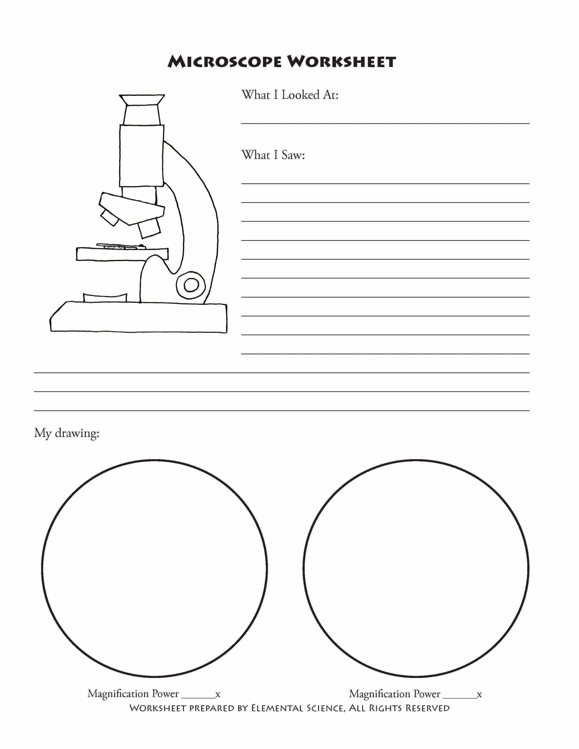 FREE Microscope Observation Worksheet And Activity Made By Teachers Worksheets Library