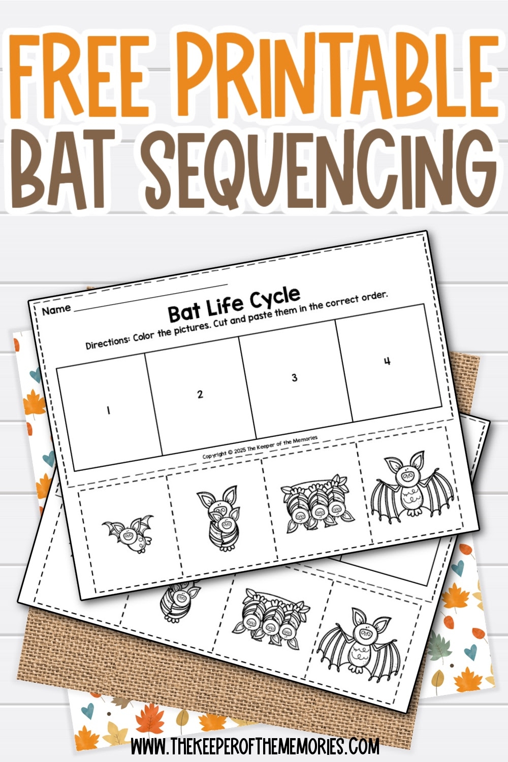 Free Printable Bat Life Cycle Sequencing Worksheets The Keeper Of The Memories