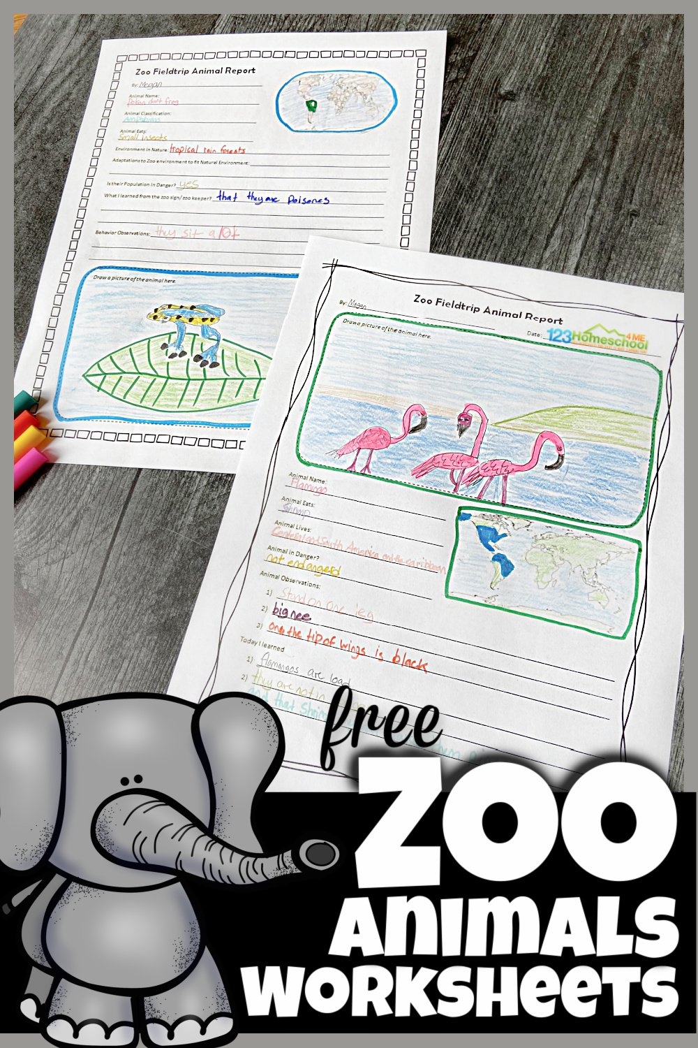 FREE Zoo Field Trip Worksheet And Animal Reports FREE Zoo Field Trip Worksheet And Animal Reports