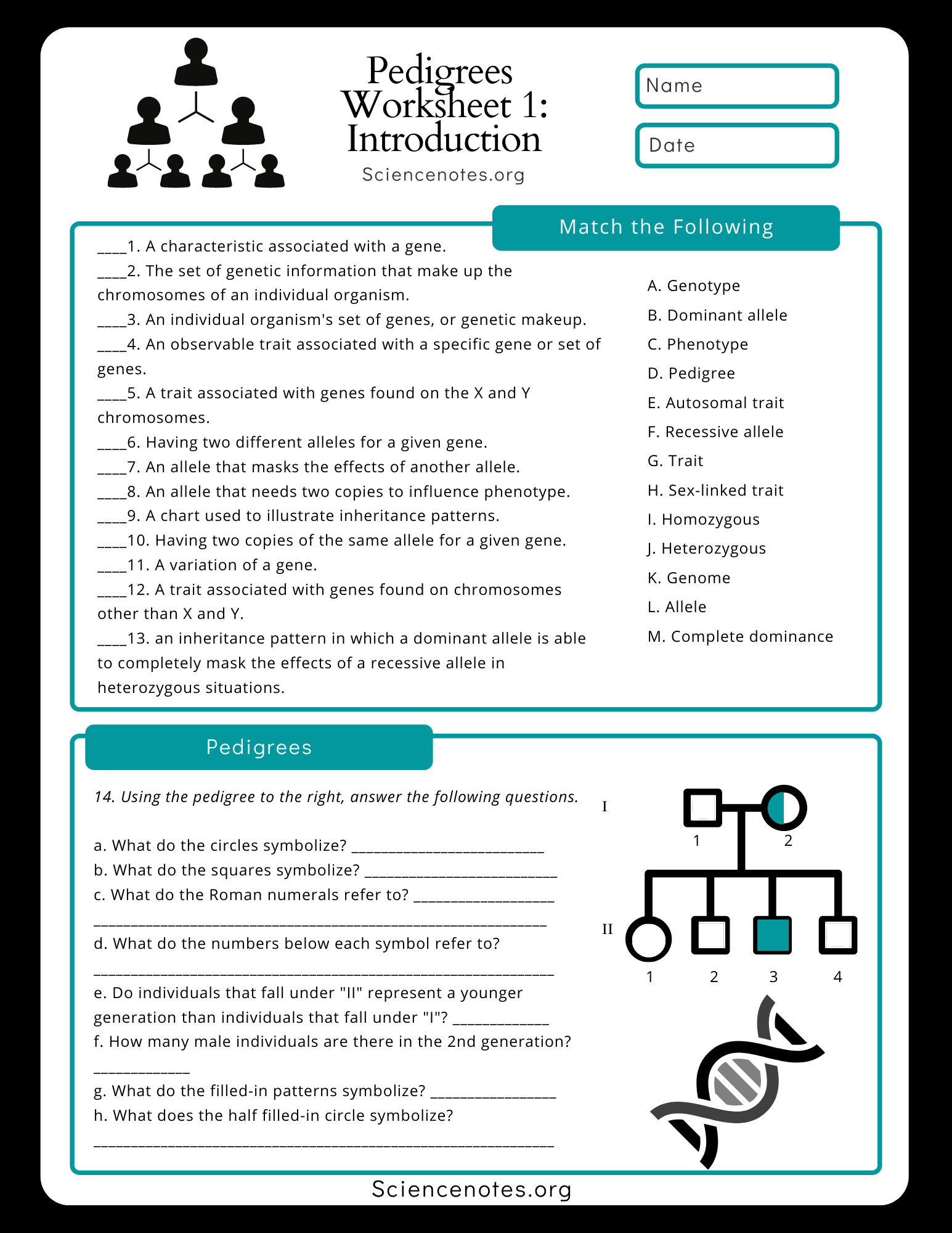 Genetics Worksheets And Printables