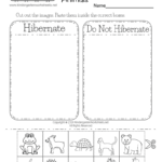 Hibernating Animals Worksheet Free Printable Digital PDF
