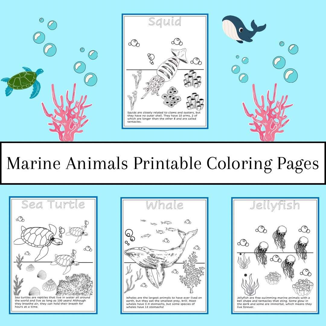 Marine Animals Printable Coloring Pages For Kids Etsy