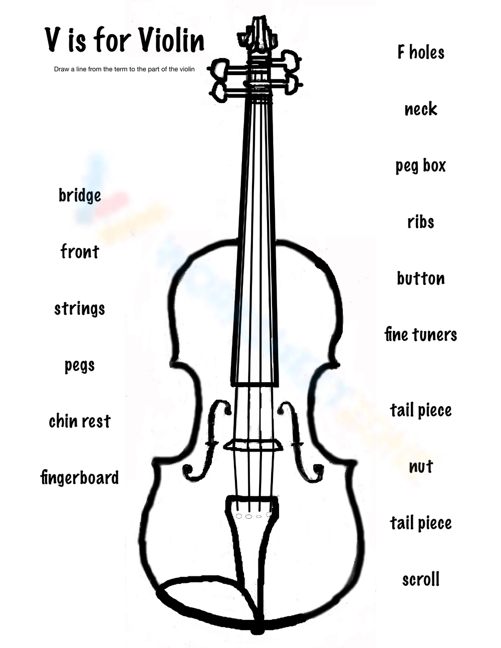 Violin Parts Musical Instrument Worksheet