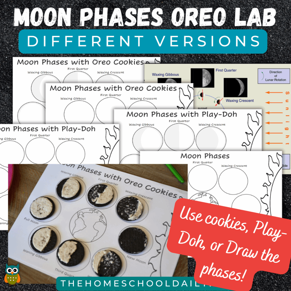 Moon Phases Oreo Lab The Homeschool Daily