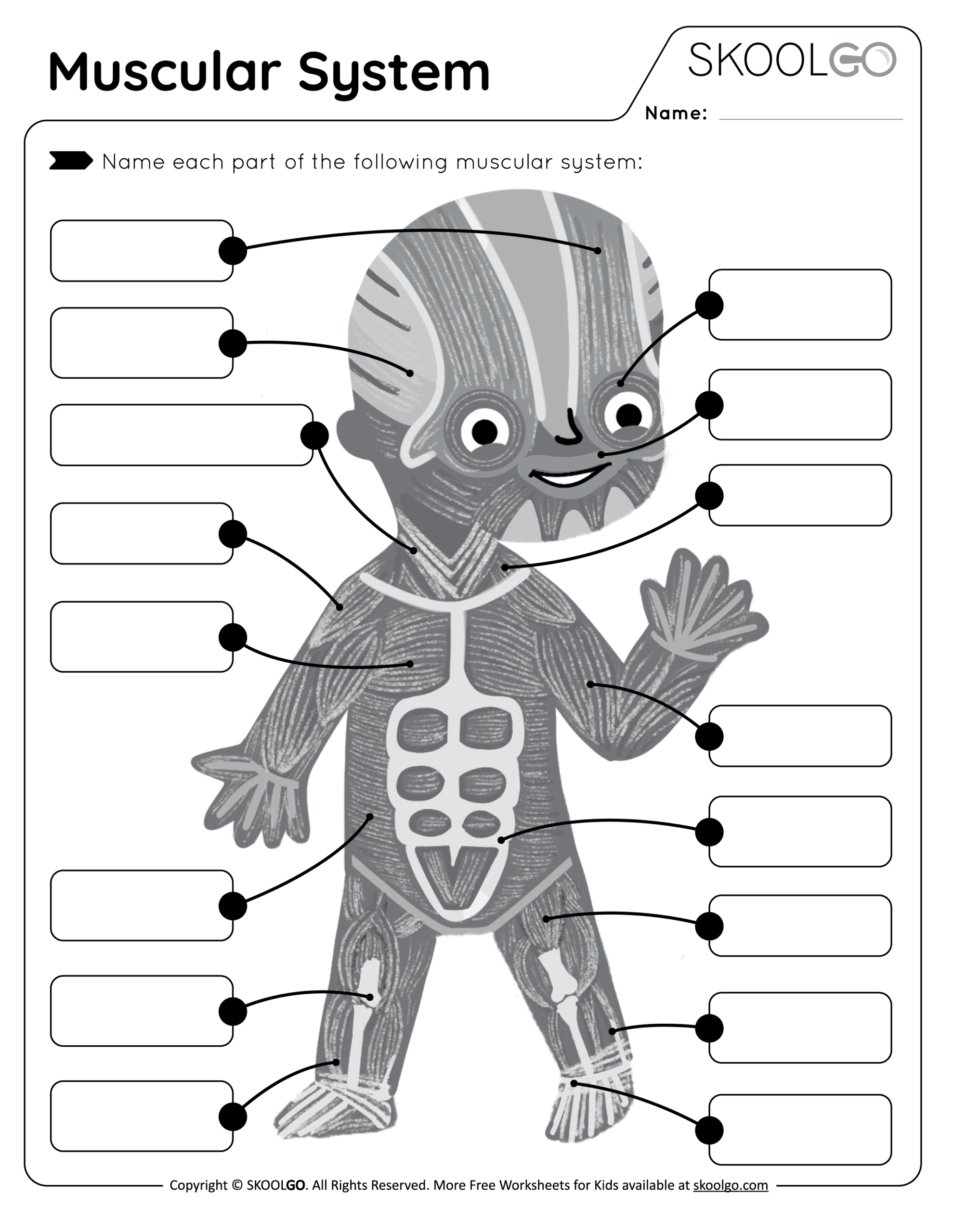 Muscular System Free Worksheet For Kids SKOOLGO