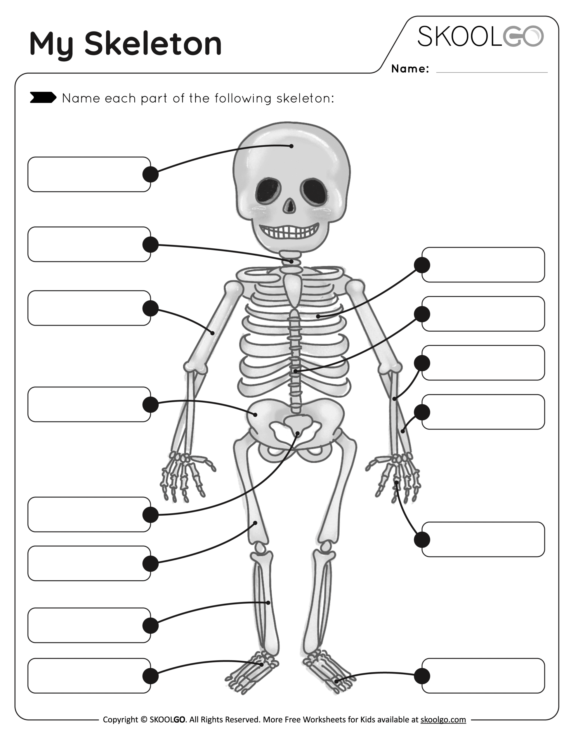 My Skeleton Free Worksheet SKOOLGO
