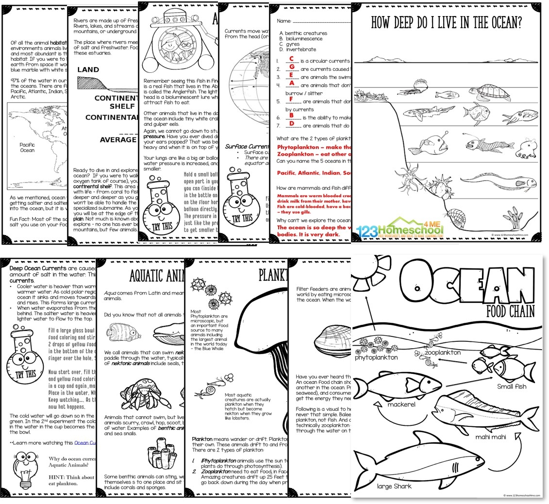 Ocean Animals UNIT 123 Homeschool 4 Me