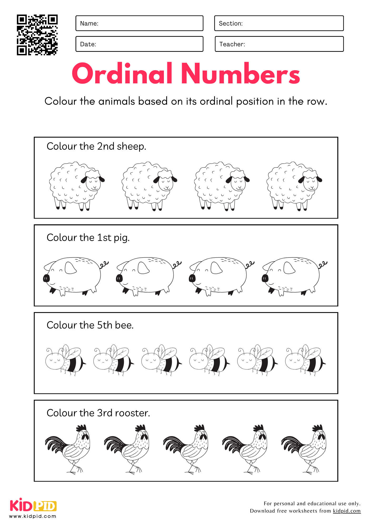 Ordinal Position Worksheets For Grade 1 Kidpid