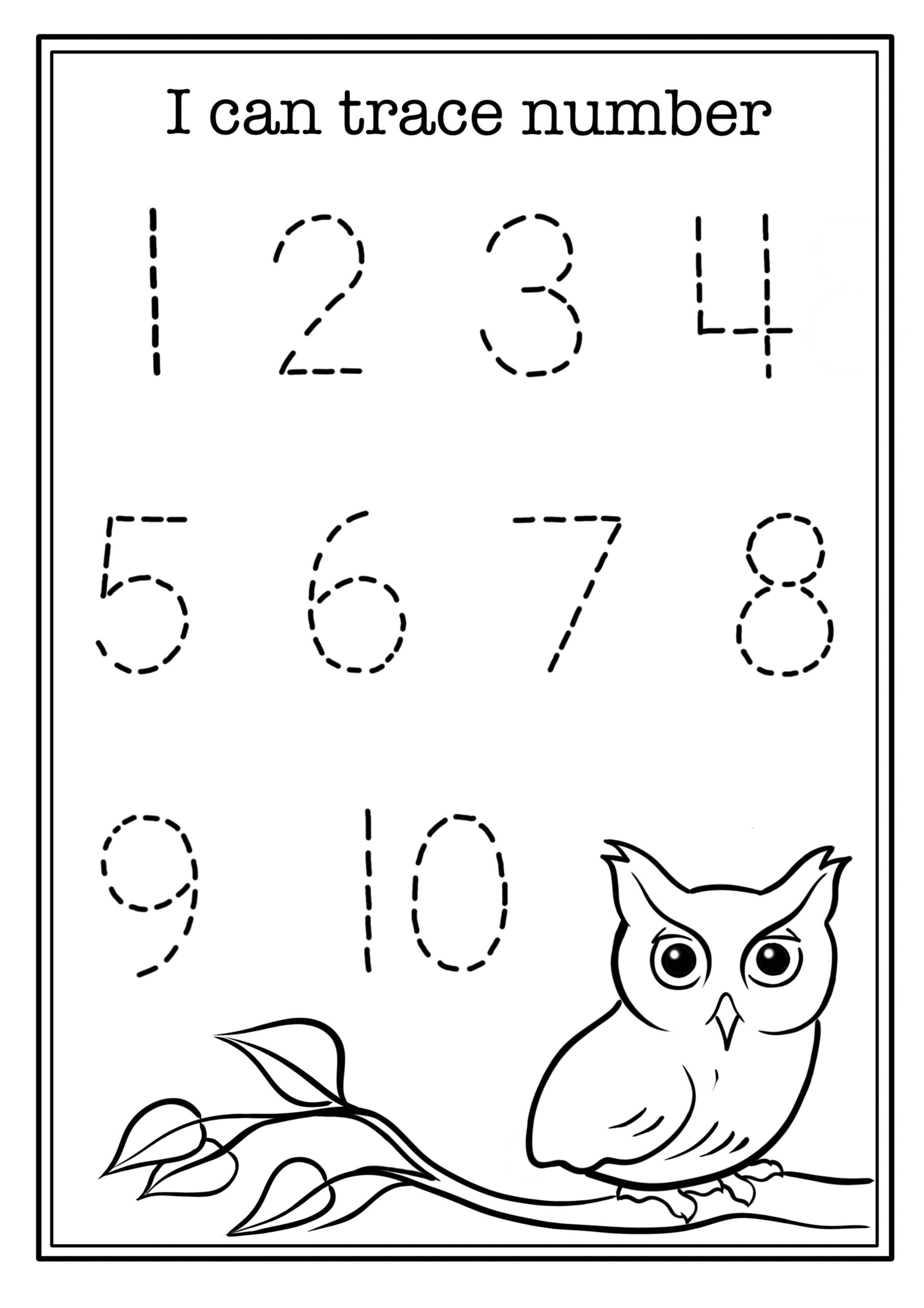 Make An Owl Craft Owl Template Printable Mrs Merry