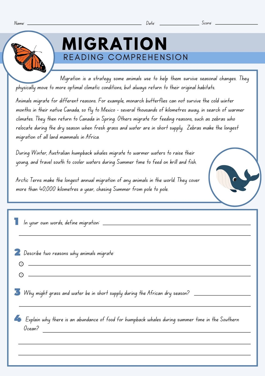 Page 4 Free Printable 3rd Grade Reading Worksheet Templates Canva Page 4 Free Printable 3rd Grade Reading Worksheet Templates Canva