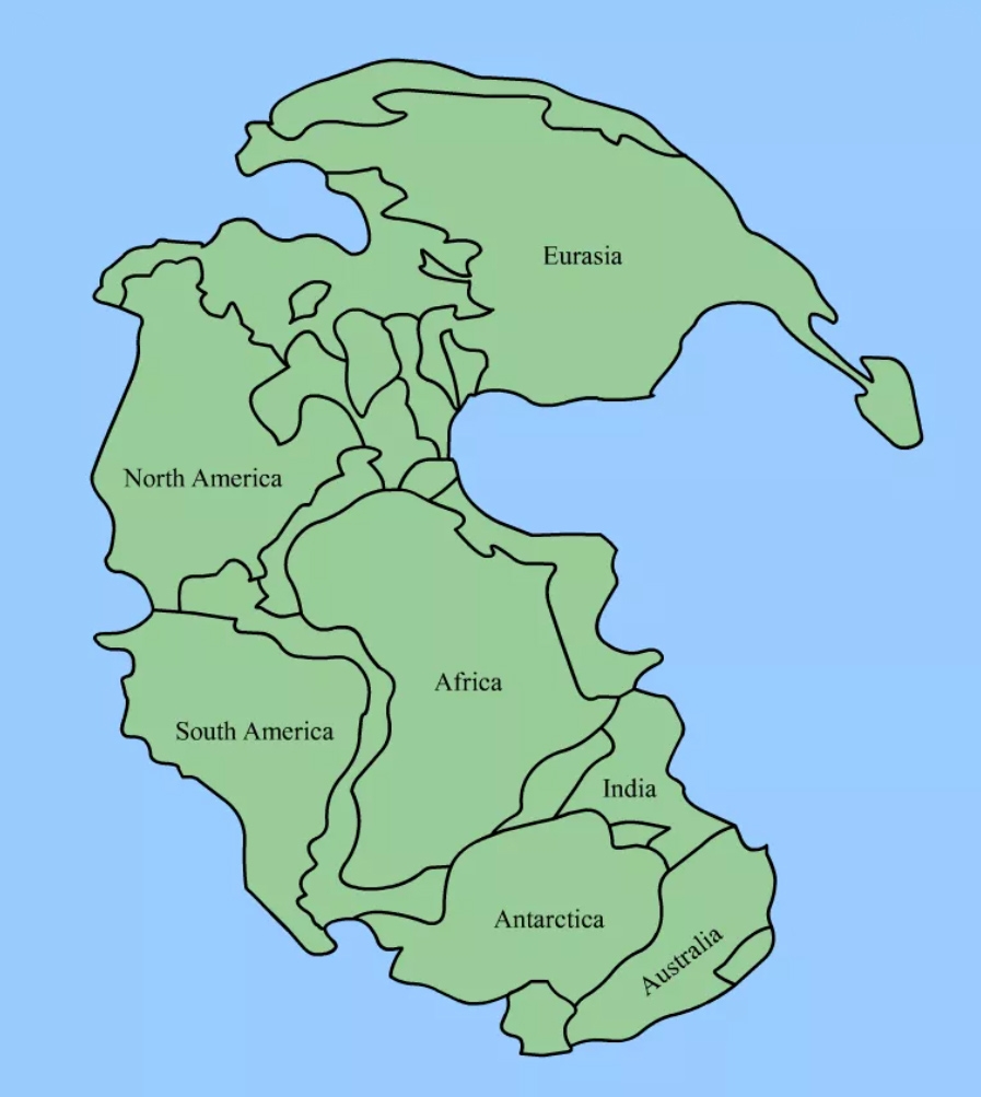 Pangea Puzzle For Educators