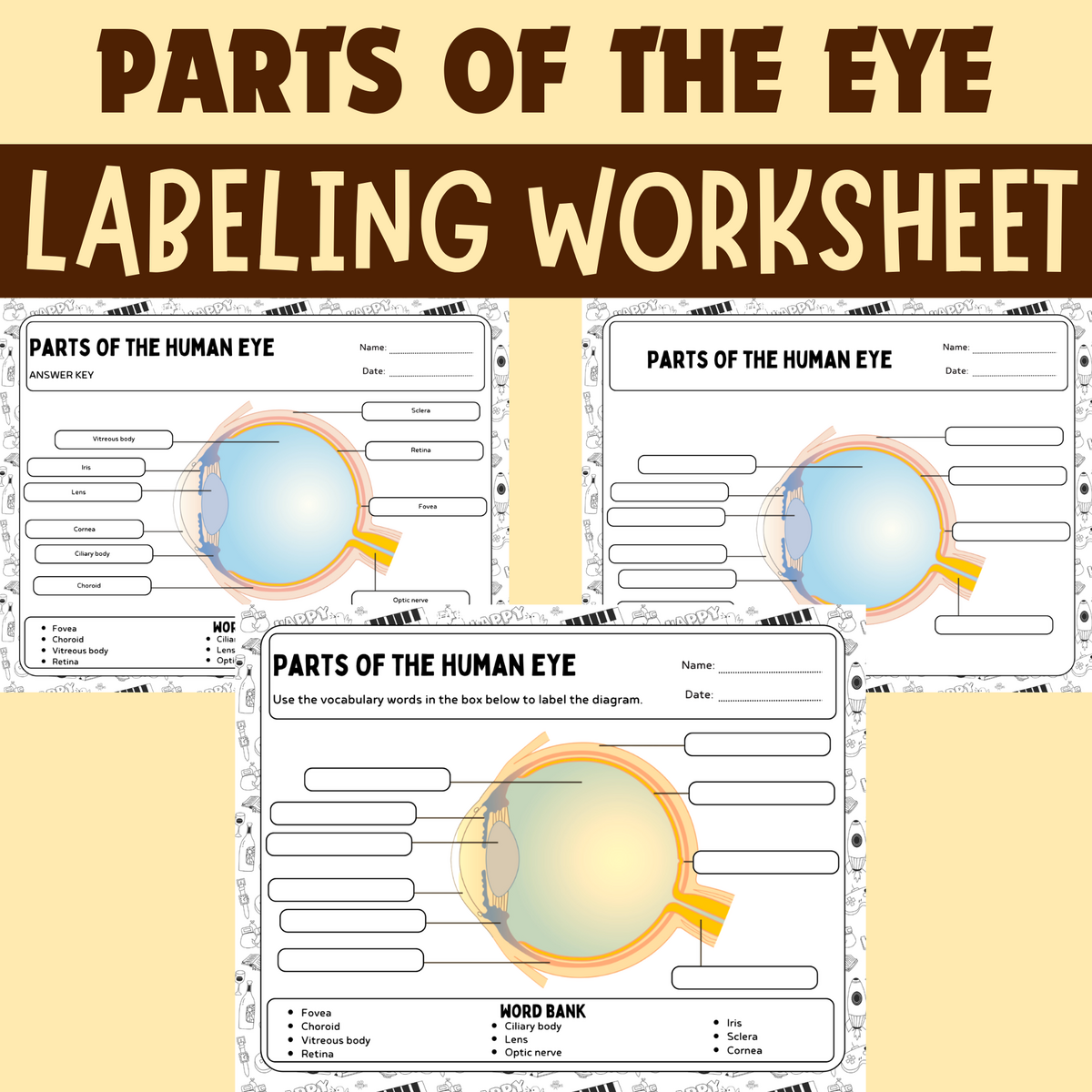 Parts Of The Human Eye Activities Labeling Worksheets Coloring Pages Word Search Made By Teachers Parts Of The Human Eye Activities Labeling Worksheets Coloring Pages Word Search Made By Teachers