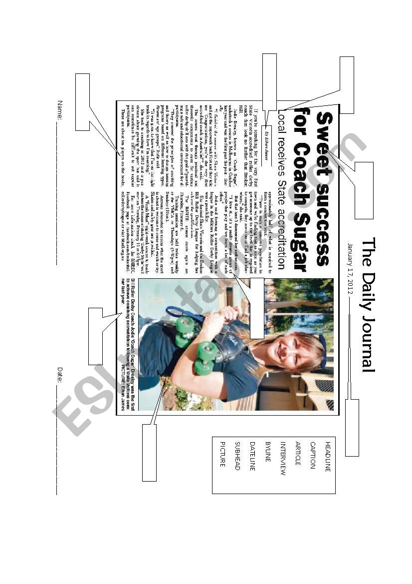 Parts Of The News Paper Worksheet Worksheets Library