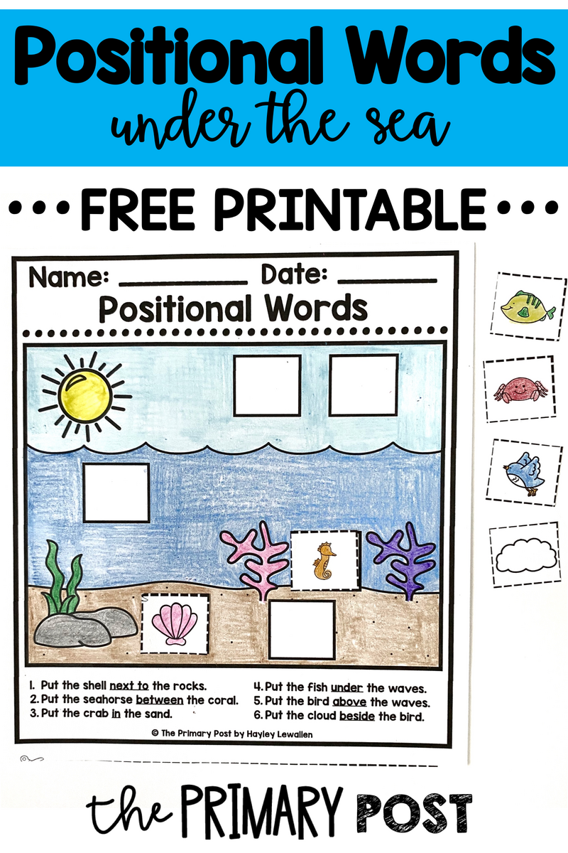 Positional Words FREEBIE The Primary Post Worksheets Library Positional Words FREEBIE The Primary Post Worksheets Library
