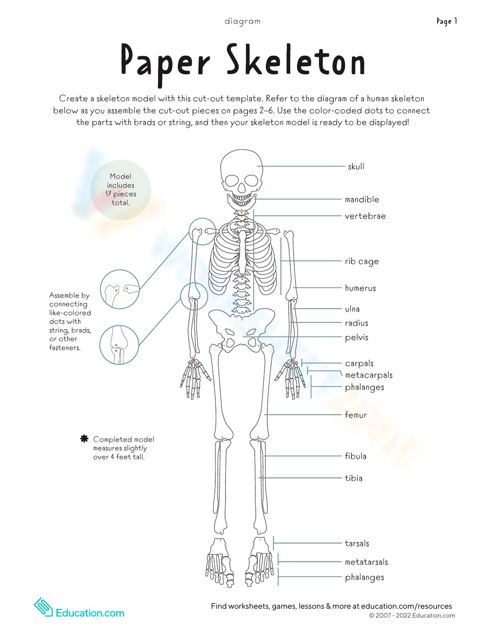 Printable 4th Grade Bones Worksheets