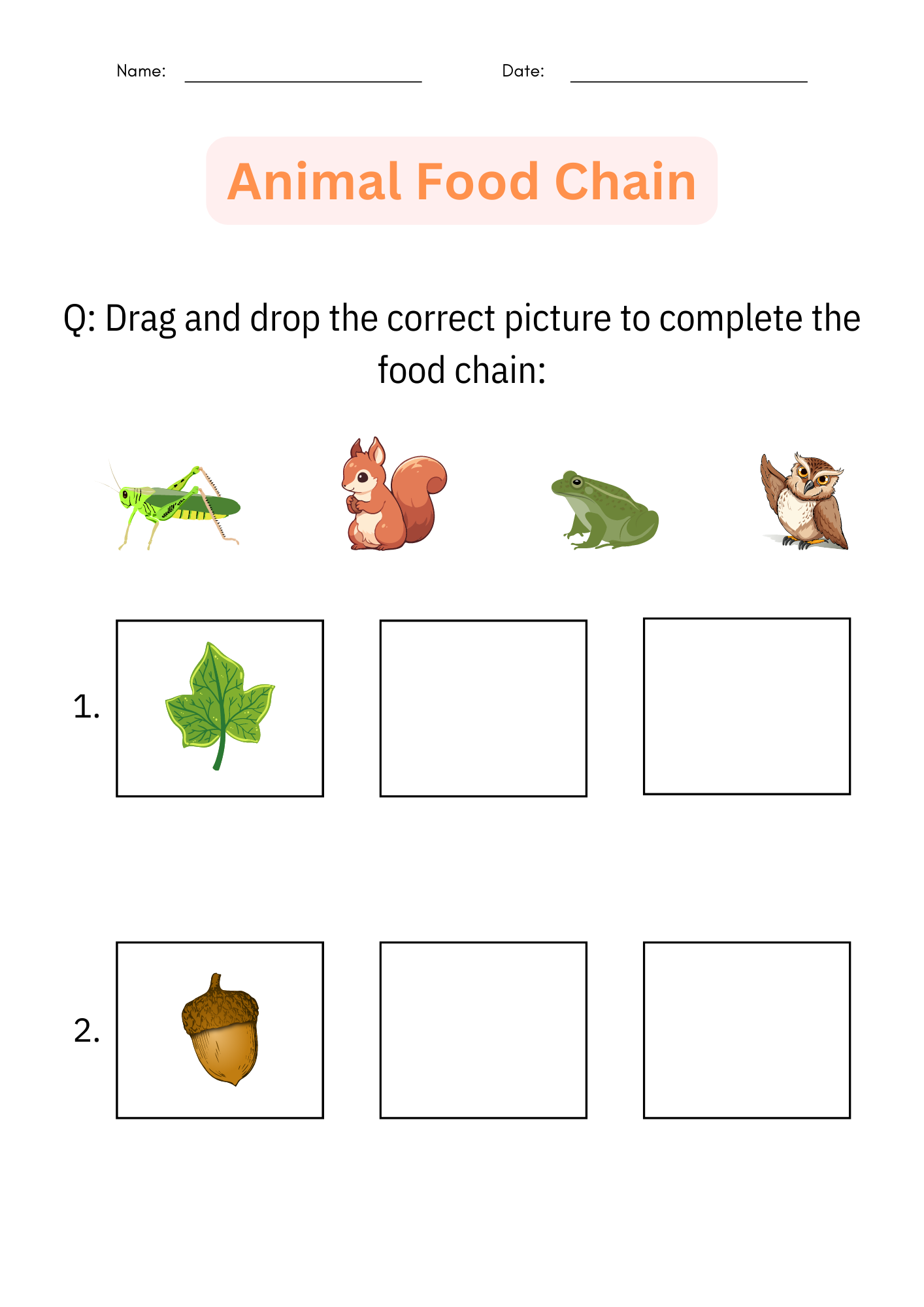 Printable Animal Food Chain Worksheet And Activity Cut And Paste For Grade 1 Made By Teachers