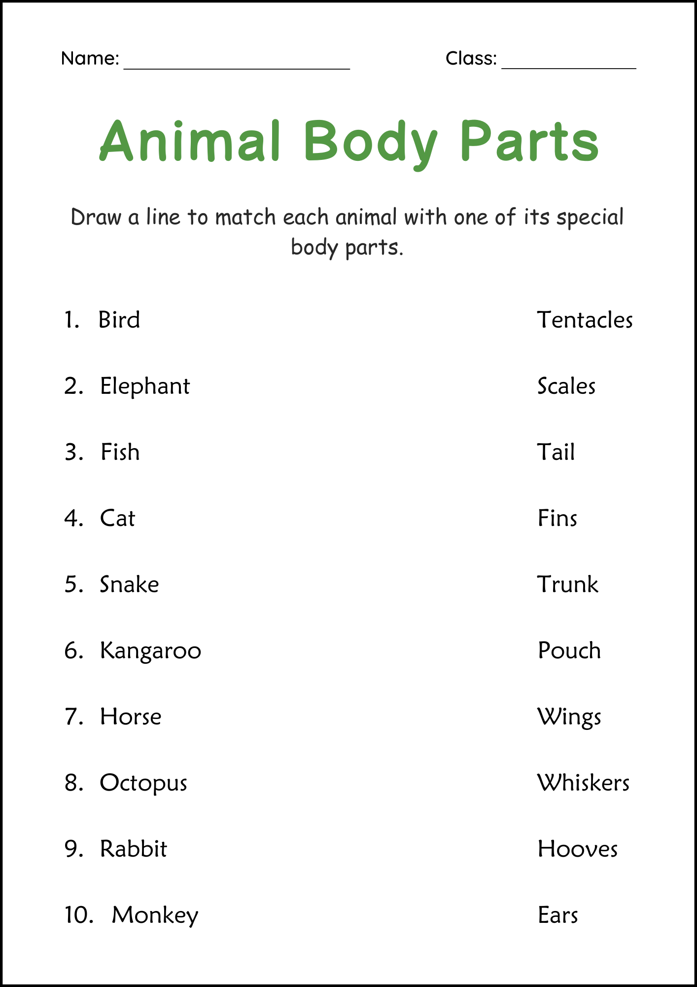 Printable Body Parts Of Animals Activity Worksheets For Grade 2 3 4 Made By Teachers