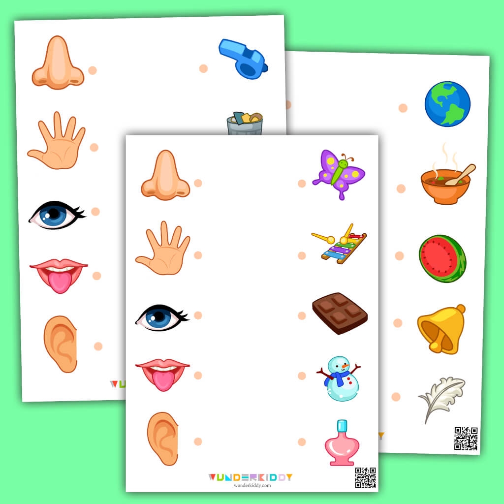 Printable Five Senses Matching Worksheet For Kindergarten Printable Five Senses Matching Worksheet For Kindergarten