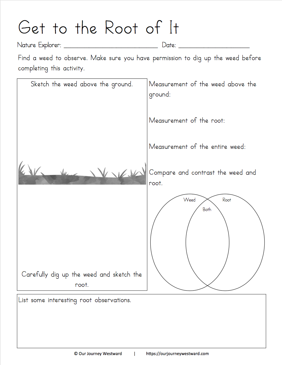 Printable Nature Study Easy Outdoor Science Labs