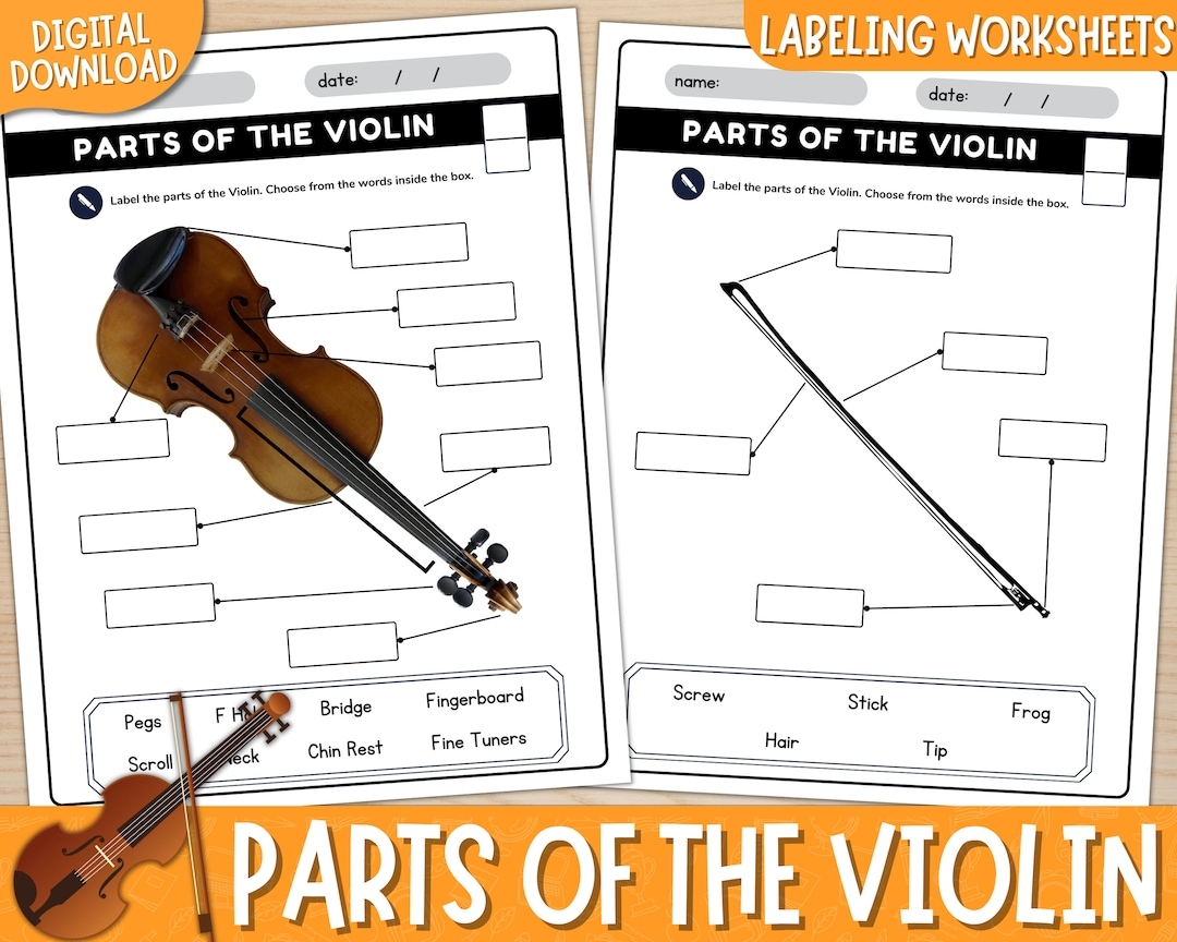 Printable Parts Of The Violin Labeling Worksheets With Answer Keys Violin Diagram Label The Violin Parts Of The Instrument PDF Etsy