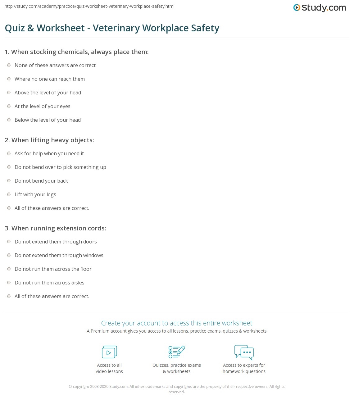 Vet Clinic Pretend Play Printable Dramatic Play Instant Download Etsy