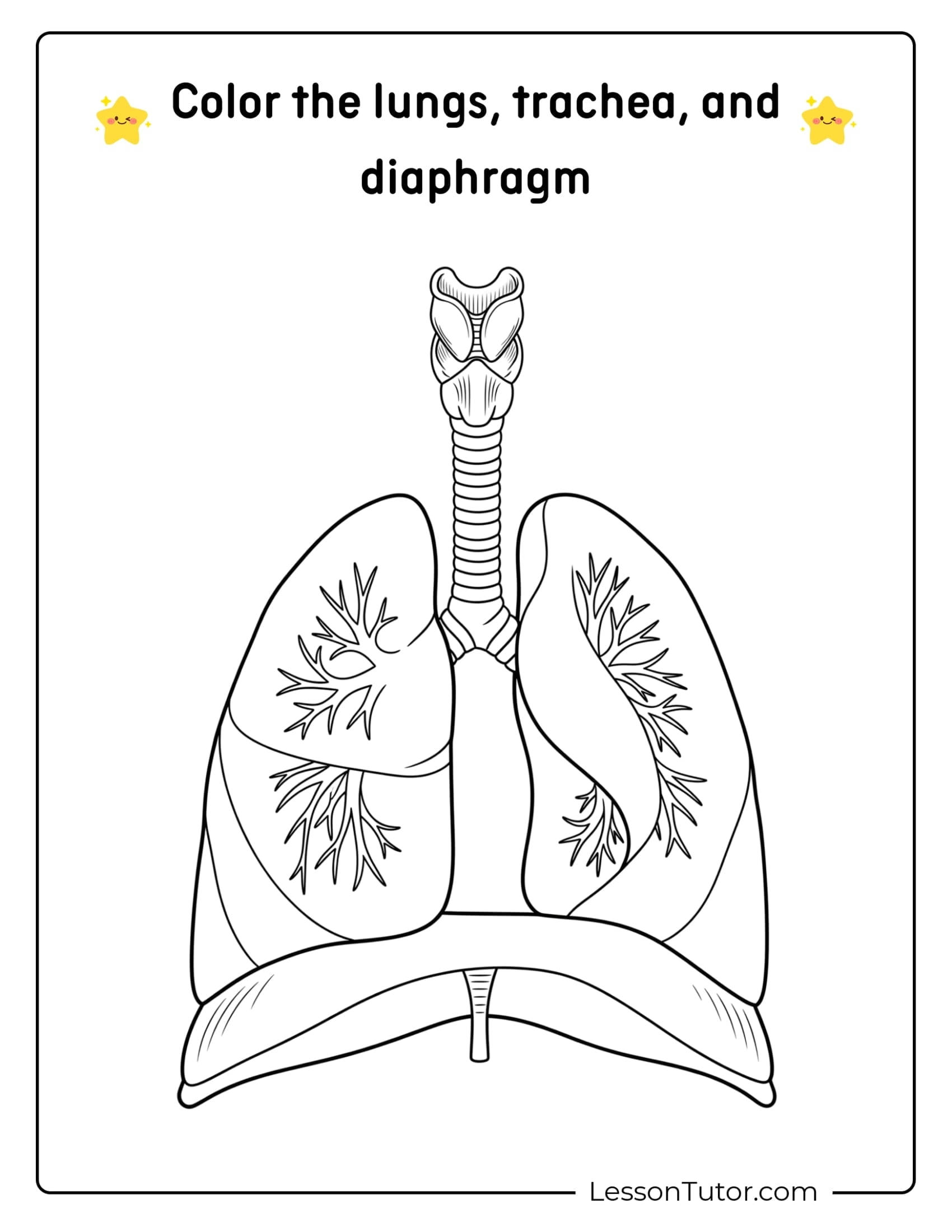Respiratory System Worksheets Free Coloring Pages PDF Printables And Worksheets Lesson Tutor
