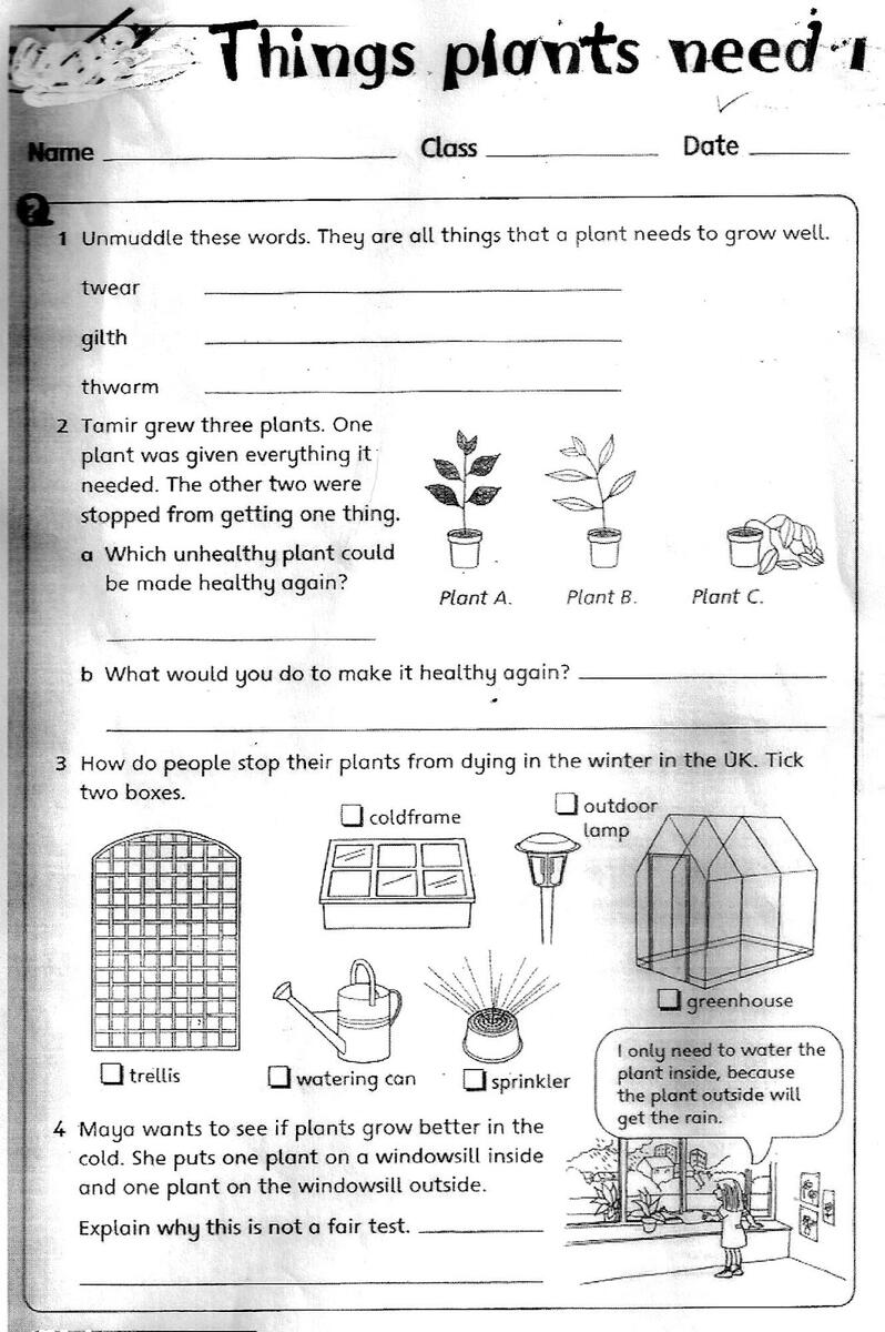 Science Grade 3 Curriculum Science Grade 3 Free Interactive Worksheets 2420357 Worksheets Pdf Science Grade 3 Curriculum Science Grade 3 Free Interactive Worksheets 2420357 Worksheets Pdf