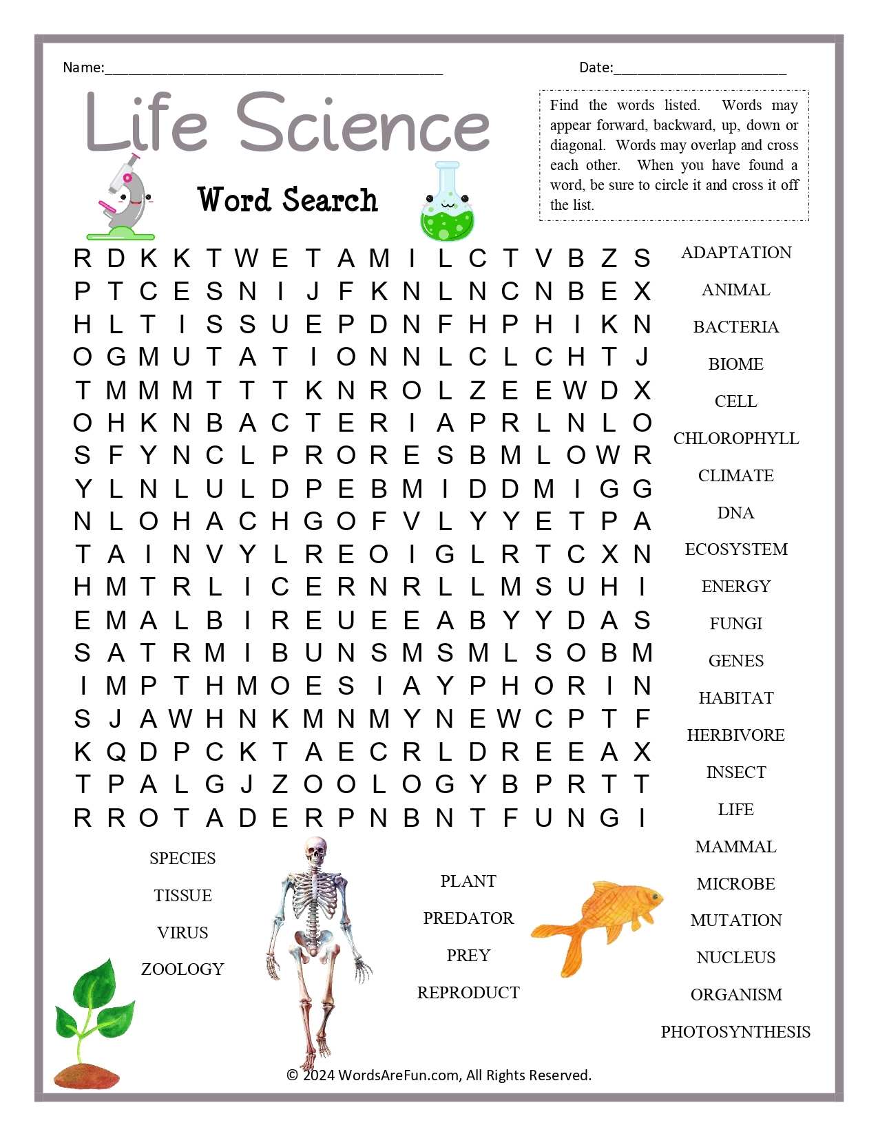 Science Word Search Science Word Search