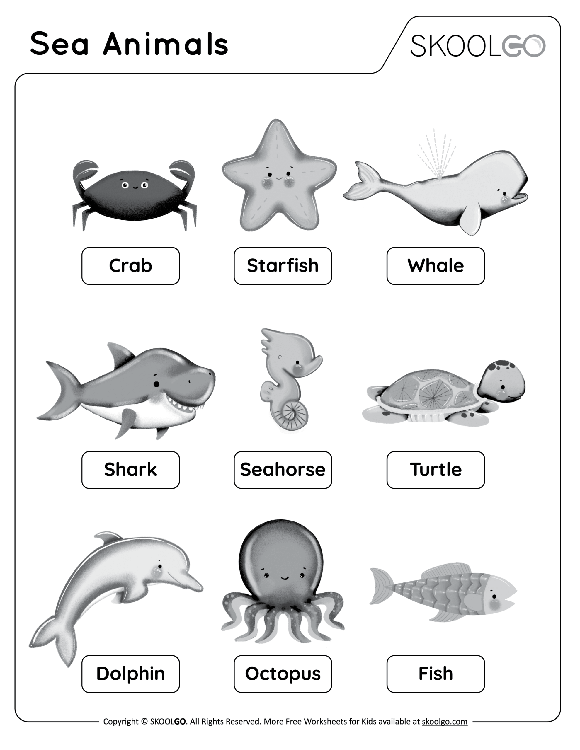 Free Ocean Worksheets Storyboard That Activities For Kids